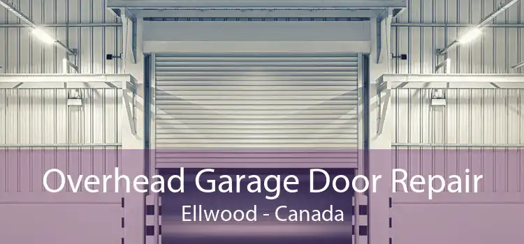 Overhead Garage Door Repair Ellwood - Canada