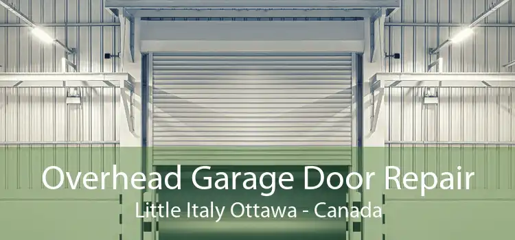 Overhead Garage Door Repair Little Italy Ottawa - Canada