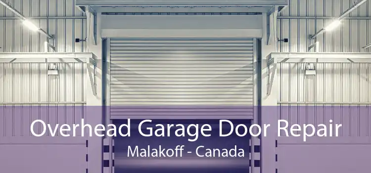 Overhead Garage Door Repair Malakoff - Canada