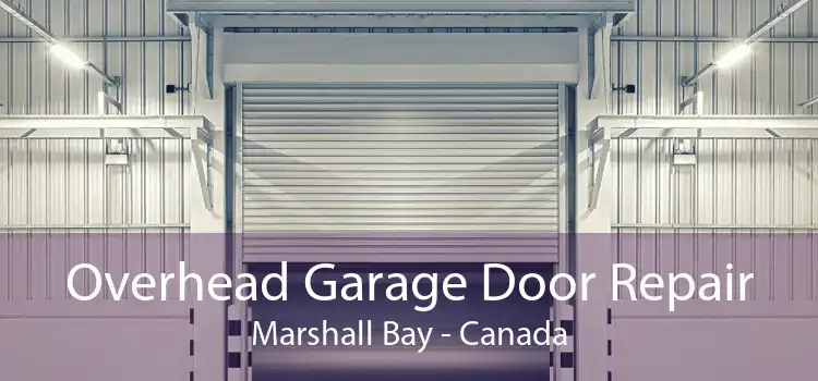 Overhead Garage Door Repair Marshall Bay - Canada
