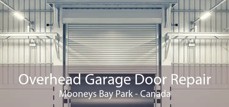 Overhead Garage Door Repair Mooneys Bay Park - Canada
