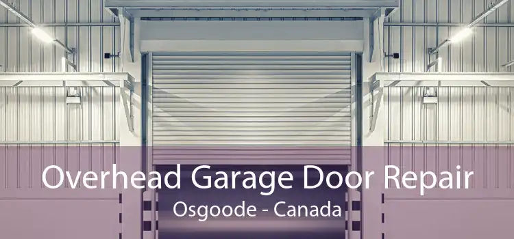 Overhead Garage Door Repair Osgoode - Canada