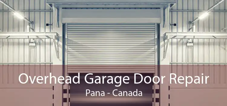 Overhead Garage Door Repair Pana - Canada