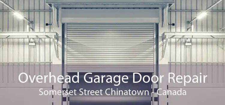 Overhead Garage Door Repair Somerset Street Chinatown - Canada