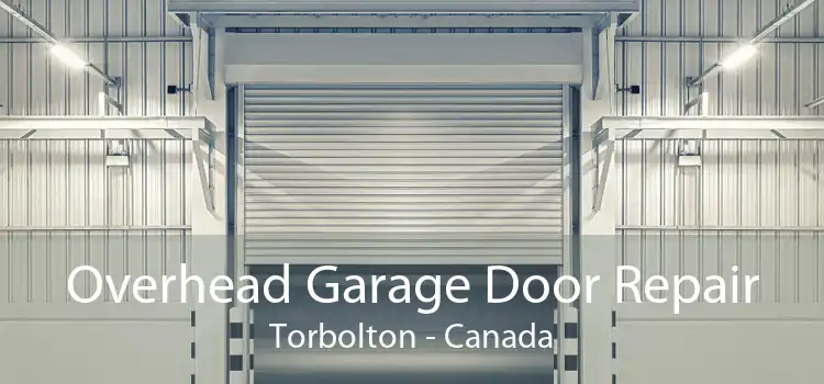 Overhead Garage Door Repair Torbolton - Canada