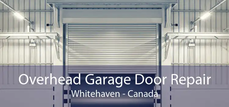 Overhead Garage Door Repair Whitehaven - Canada