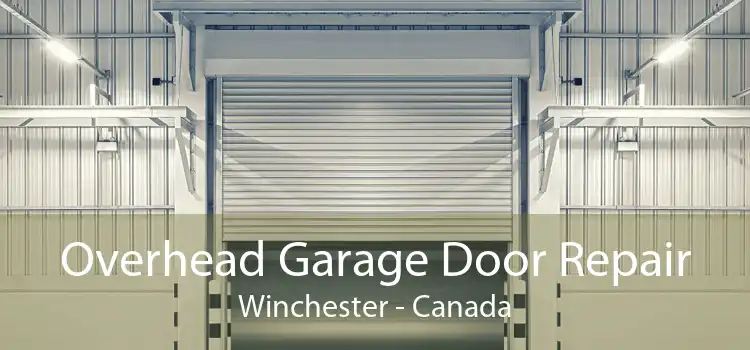 Overhead Garage Door Repair Winchester - Canada