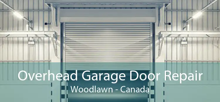 Overhead Garage Door Repair Woodlawn - Canada