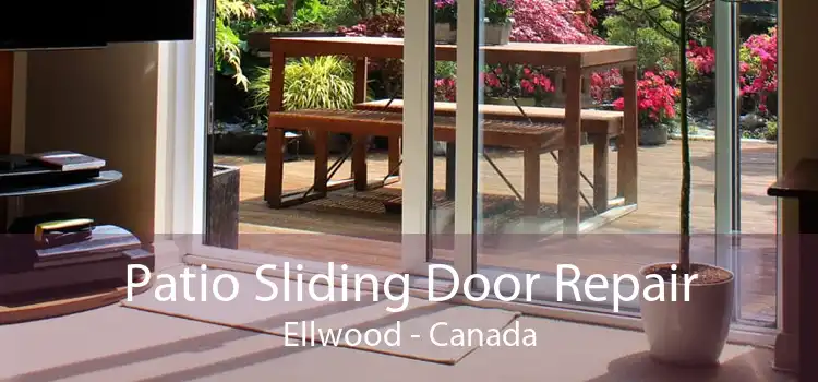 Patio Sliding Door Repair Ellwood - Canada