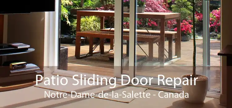 Patio Sliding Door Repair Notre-Dame-de-la-Salette - Canada