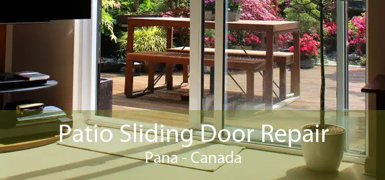 Patio Sliding Door Repair Pana - Canada