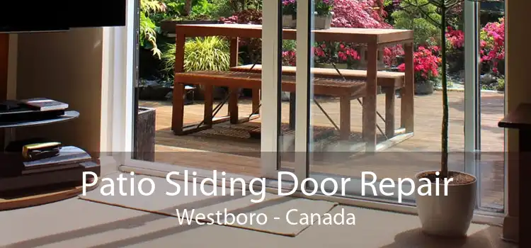 Patio Sliding Door Repair Westboro - Canada