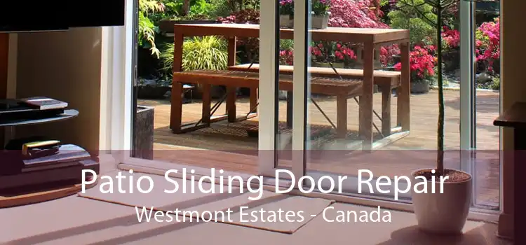 Patio Sliding Door Repair Westmont Estates - Canada