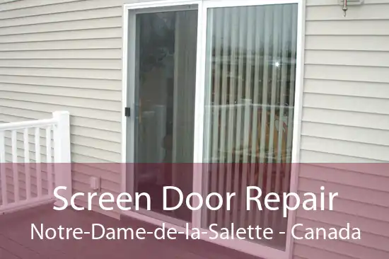 Screen Door Repair Notre-Dame-de-la-Salette - Canada