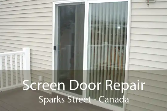 Screen Door Repair Sparks Street - Canada