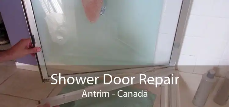 Shower Door Repair Antrim - Canada