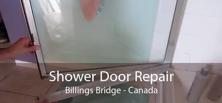 Shower Door Repair Billings Bridge - Canada