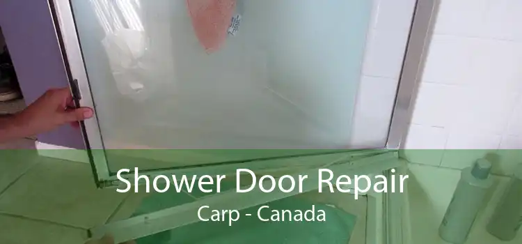 Shower Door Repair Carp - Canada