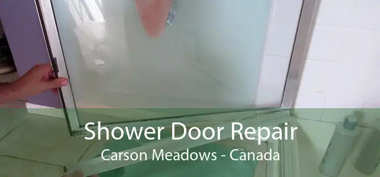 Shower Door Repair Carson Meadows - Canada