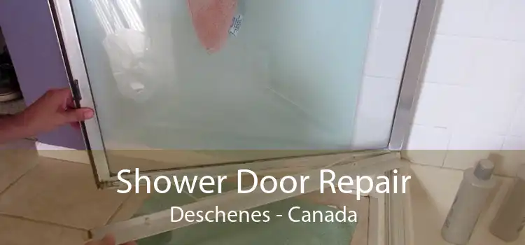 Shower Door Repair Deschenes - Canada