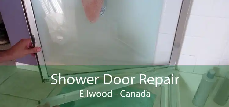 Shower Door Repair Ellwood - Canada