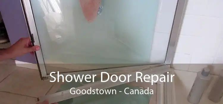 Shower Door Repair Goodstown - Canada