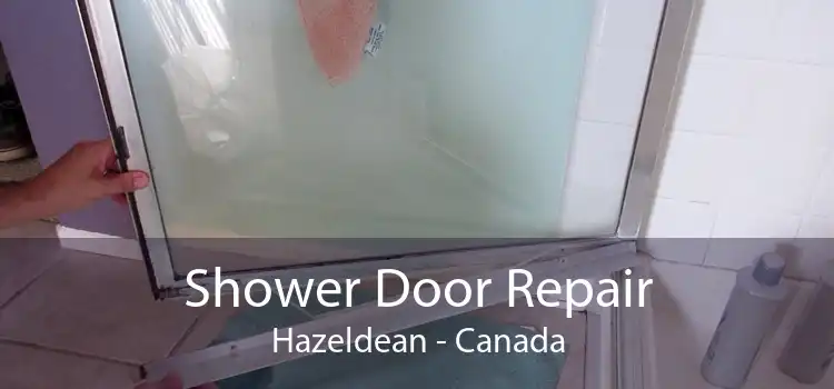 Shower Door Repair Hazeldean - Canada