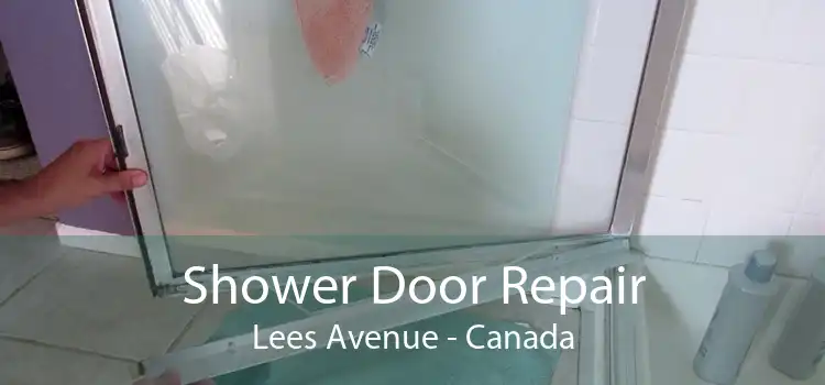 Shower Door Repair Lees Avenue - Canada