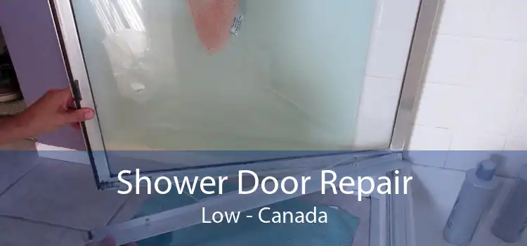 Shower Door Repair Low - Canada