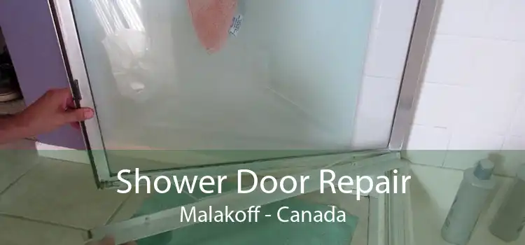 Shower Door Repair Malakoff - Canada