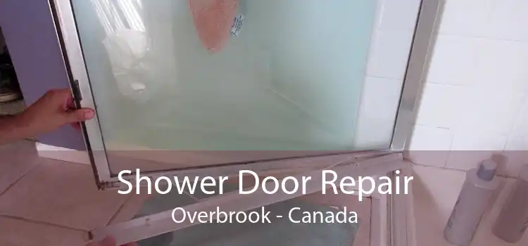 Shower Door Repair Overbrook - Canada