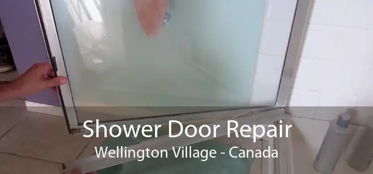 Shower Door Repair Wellington Village - Canada