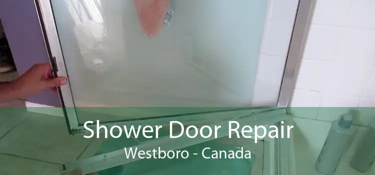 Shower Door Repair Westboro - Canada