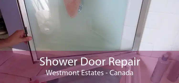 Shower Door Repair Westmont Estates - Canada