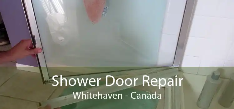 Shower Door Repair Whitehaven - Canada