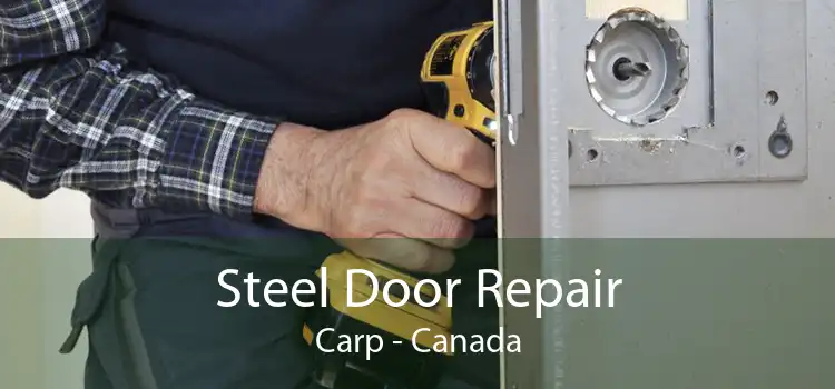 Steel Door Repair Carp - Canada