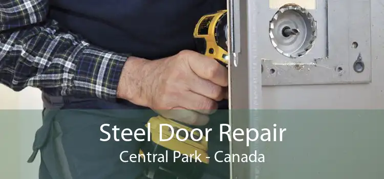 Steel Door Repair Central Park - Canada