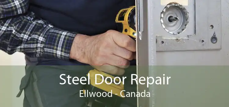 Steel Door Repair Ellwood - Canada