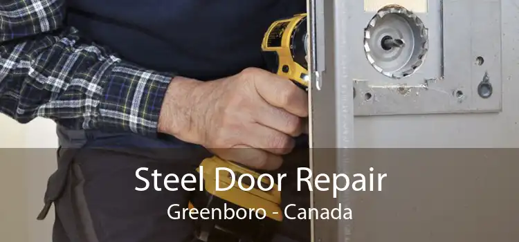 Steel Door Repair Greenboro - Canada