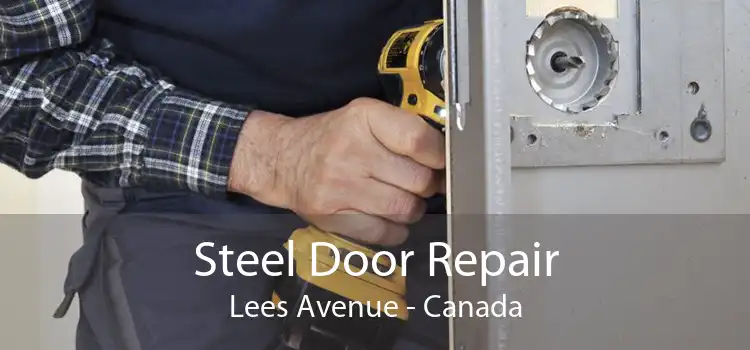 Steel Door Repair Lees Avenue - Canada