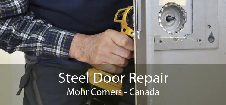 Steel Door Repair Mohr Corners - Canada