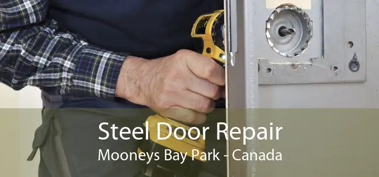 Steel Door Repair Mooneys Bay Park - Canada