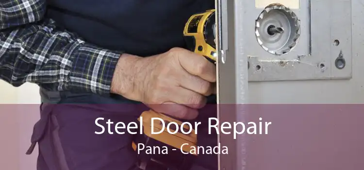Steel Door Repair Pana - Canada