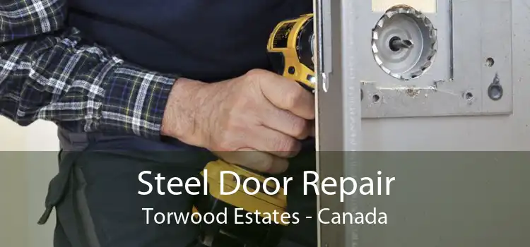 Steel Door Repair Torwood Estates - Canada