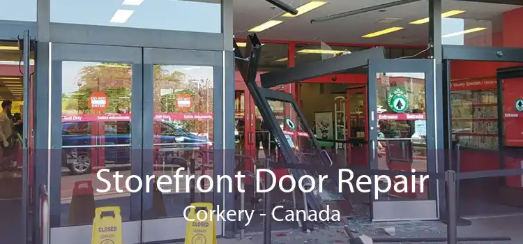 Storefront Door Repair Corkery - Canada