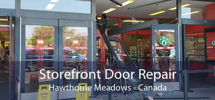 Storefront Door Repair Hawthorne Meadows - Canada