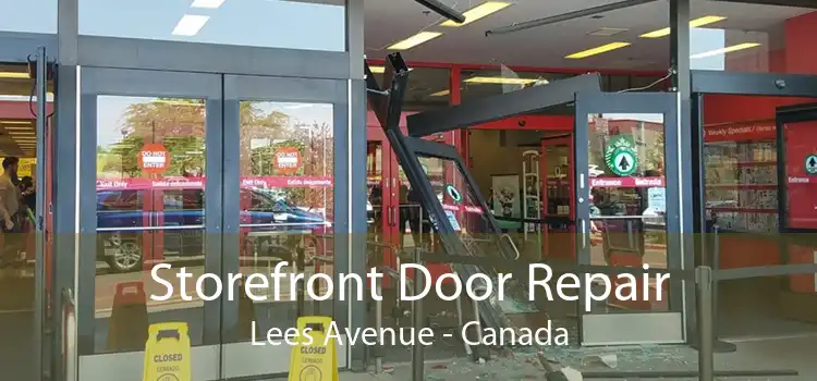 Storefront Door Repair Lees Avenue - Canada