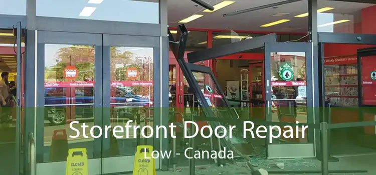 Storefront Door Repair Low - Canada
