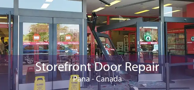 Storefront Door Repair Pana - Canada
