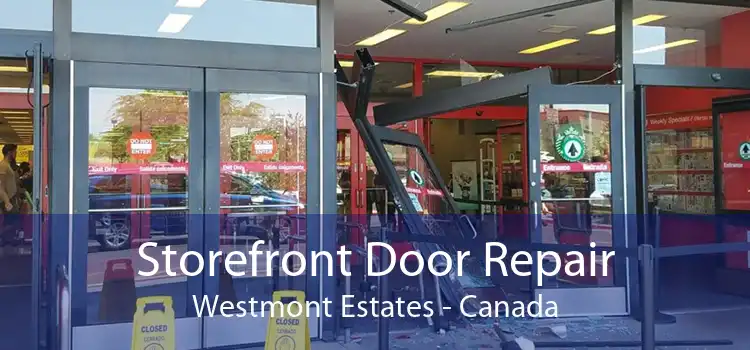 Storefront Door Repair Westmont Estates - Canada